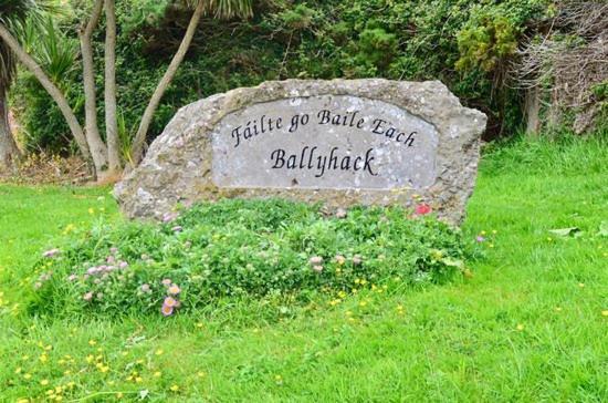 Ballyhack By The Sea 알더스타운 외부 사진